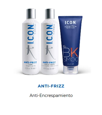 Productos ICON Regimedy Antifrizz